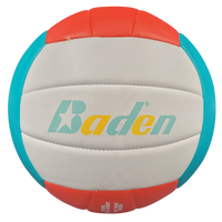 Baden Paradise Volleyballs