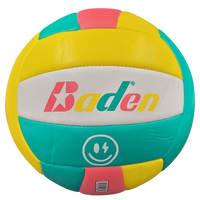 Baden Paradise Volleyballs