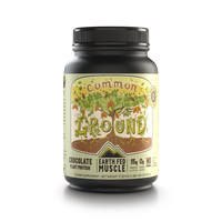 Common Ground Chocolate Plant Protein - HECOstix