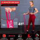 41" Mini Resistance Band - HECOstix