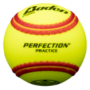 Ballistic Fast pitch Batting Practice Training Softball  