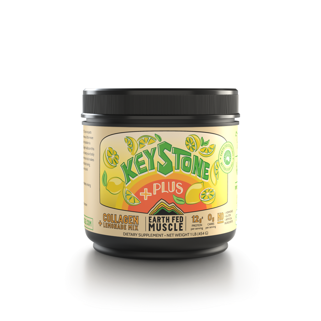 Keystone Plus Collagen Lemonade Mix - HECOstix