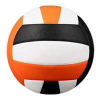 Perfection Leather Volleyball