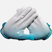 Looney Tunes Football Gloves - Road Runner - VPS4 by Phenom Elite - HECOstix