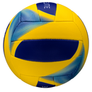 Beach Elite Volleyball