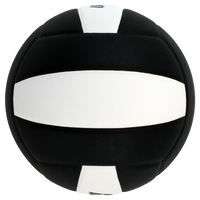 Lexum Microfiber Volleyball