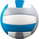 Lexum Microfiber Volleyball