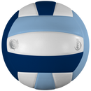 Lexum Microfiber Volleyball