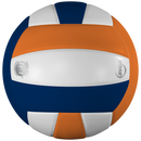 Lexum Microfiber Volleyball