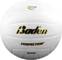 Perfection Leather Volleyball