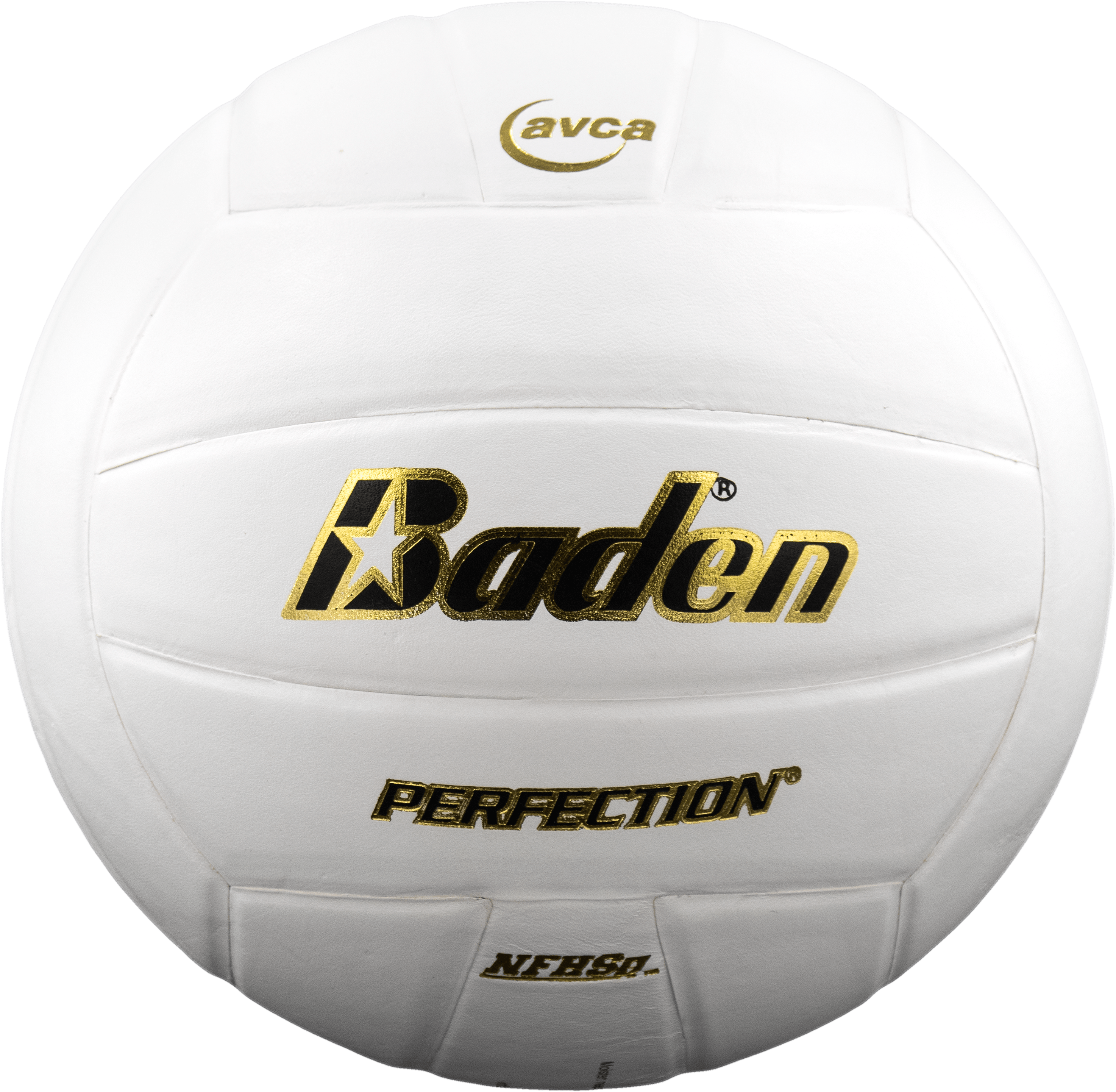 Perfection Leather Volleyball