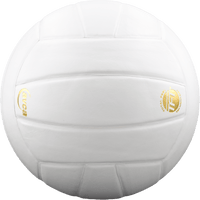 Perfection Leather Volleyball