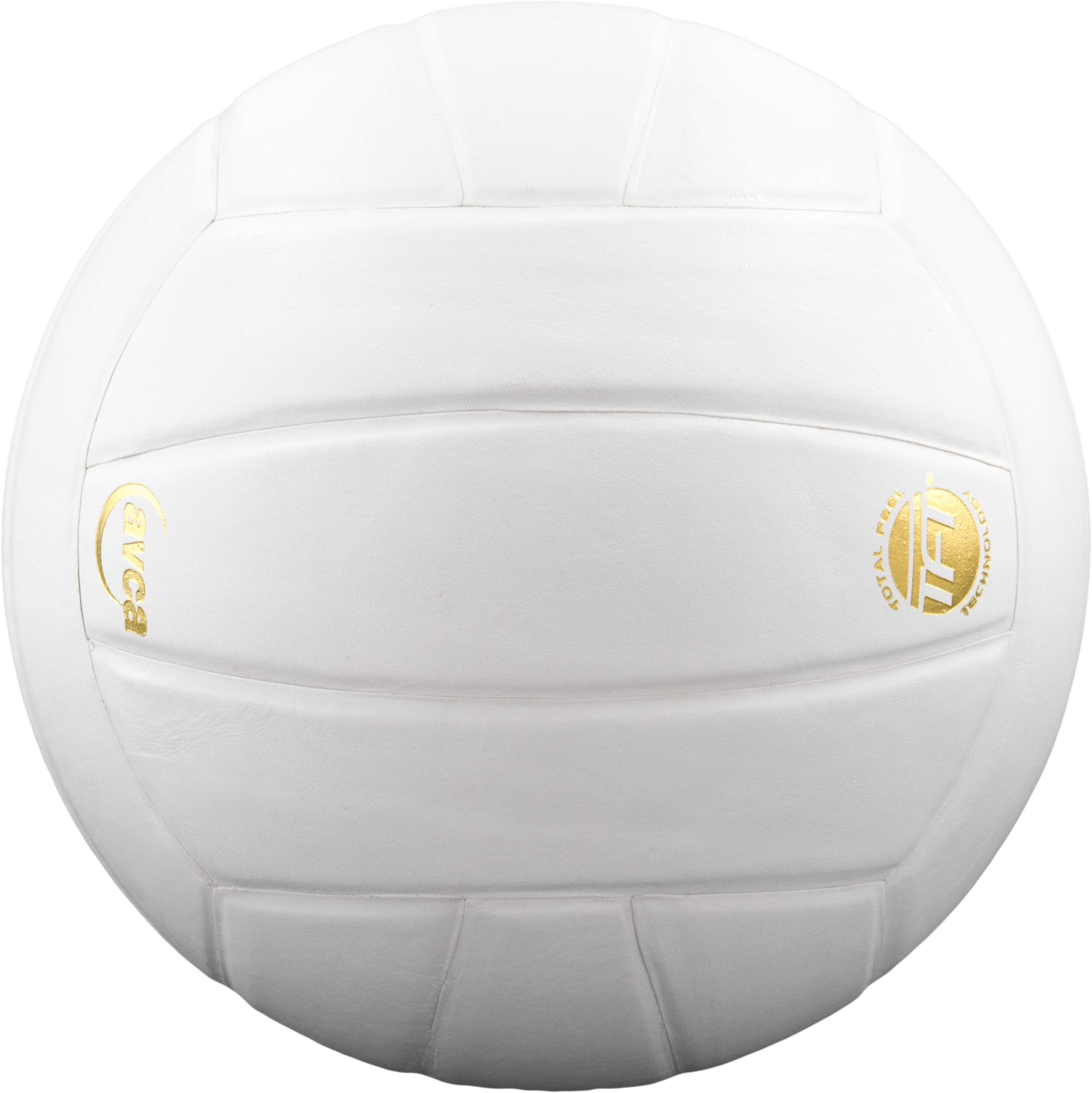 Perfection Leather Volleyball