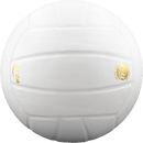 Lexum Microfiber Volleyball