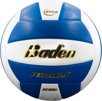 Perfection Leather Volleyball