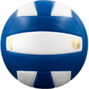 Perfection Leather Volleyball