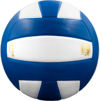 Perfection Leather Volleyball