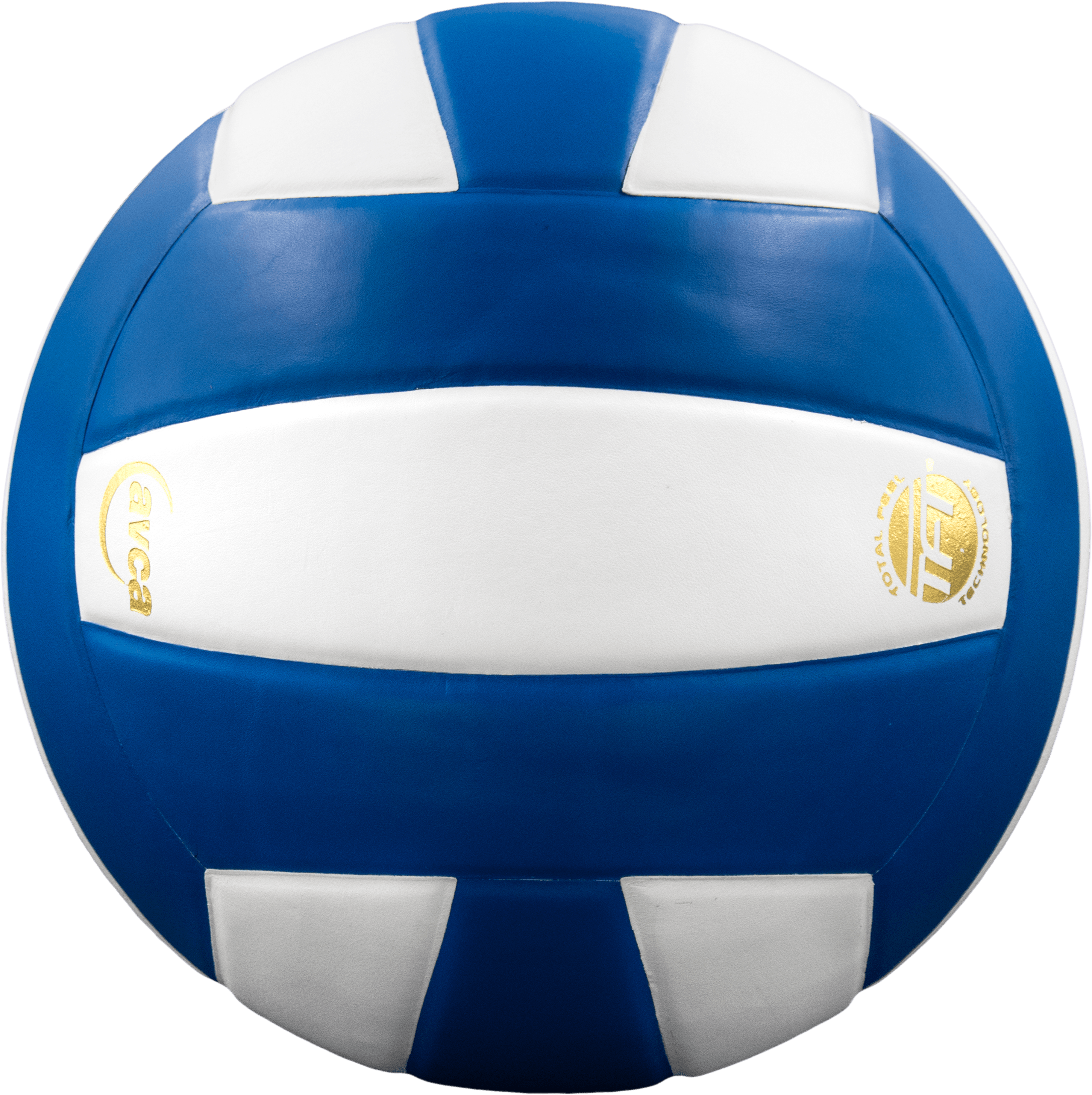 Perfection Leather Volleyball