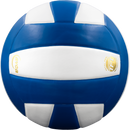 Perfection Leather Volleyball