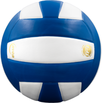 Perfection Leather Volleyball