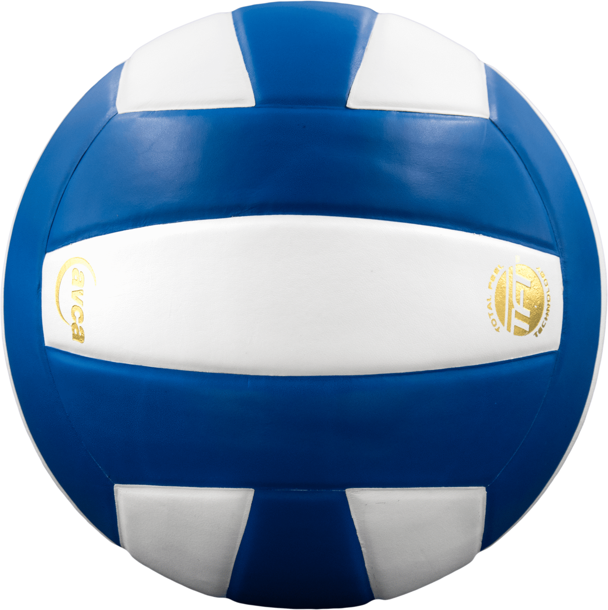 Perfection Leather Volleyball