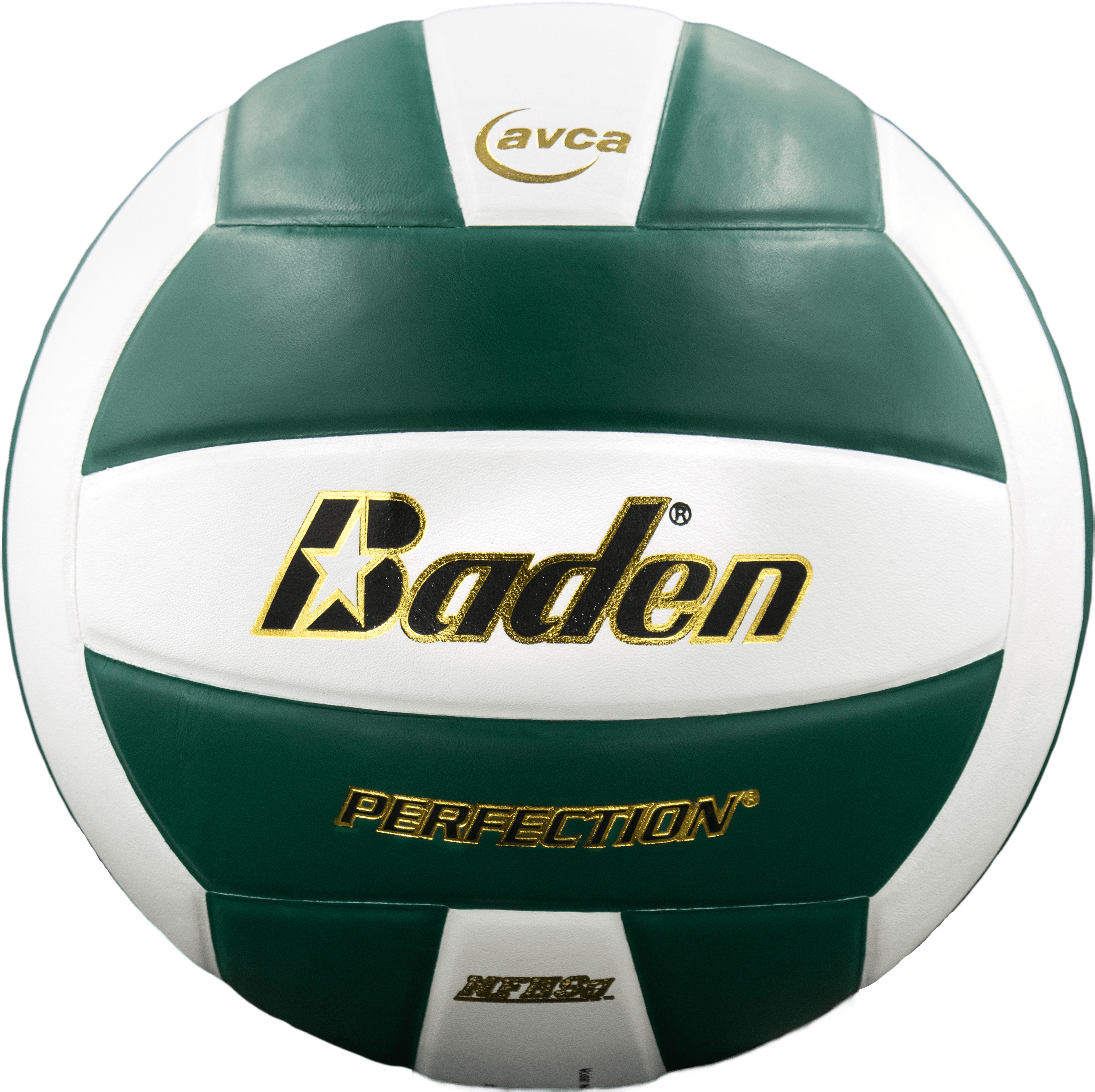 Perfection Leather Volleyball