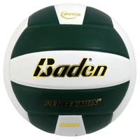 Perfection Leather Volleyball