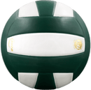 Perfection Leather Volleyball