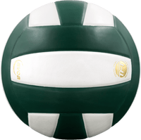 Perfection Leather Volleyball