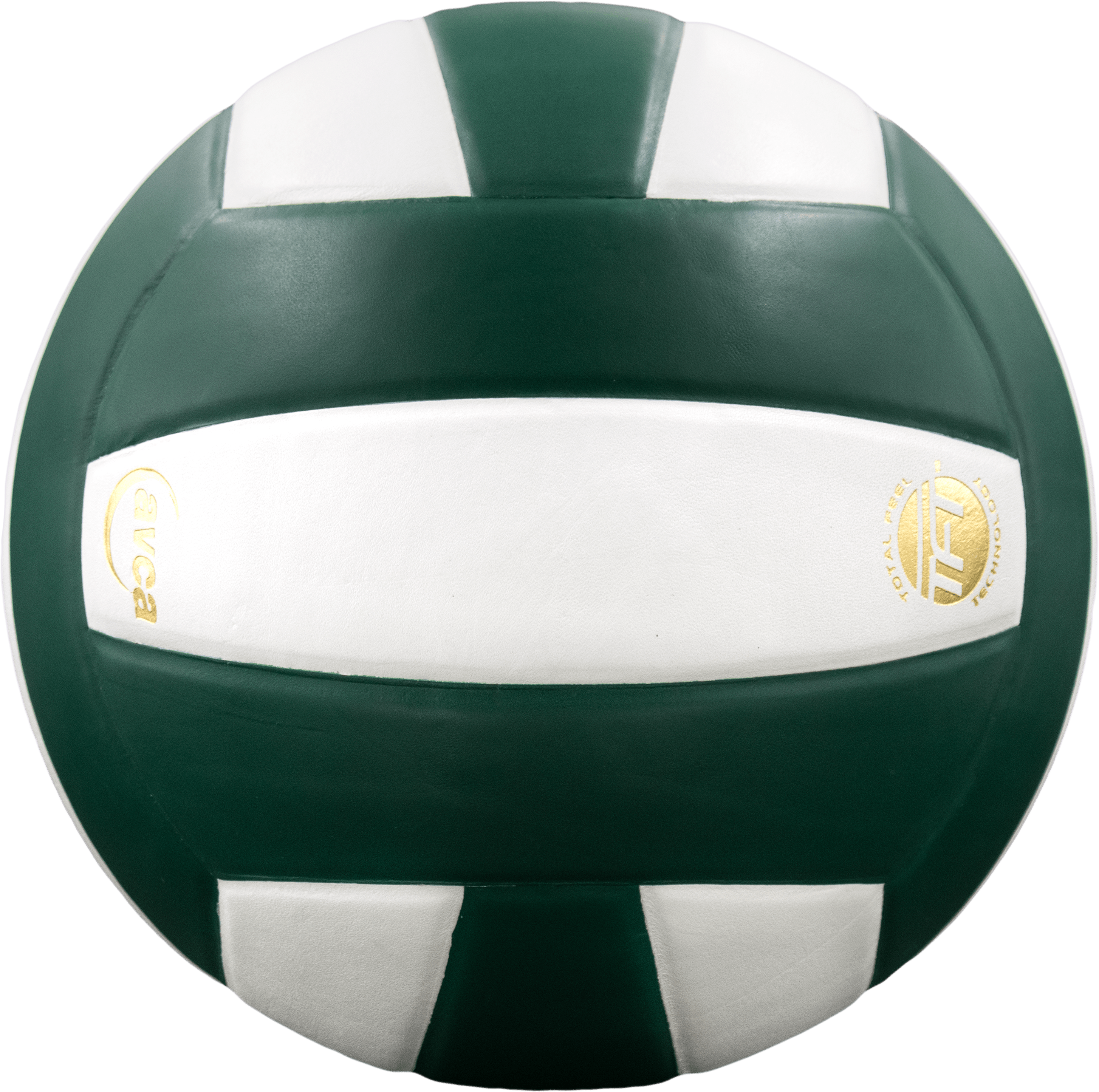 Perfection Leather Volleyball