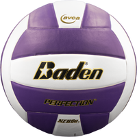 Perfection Leather Volleyball