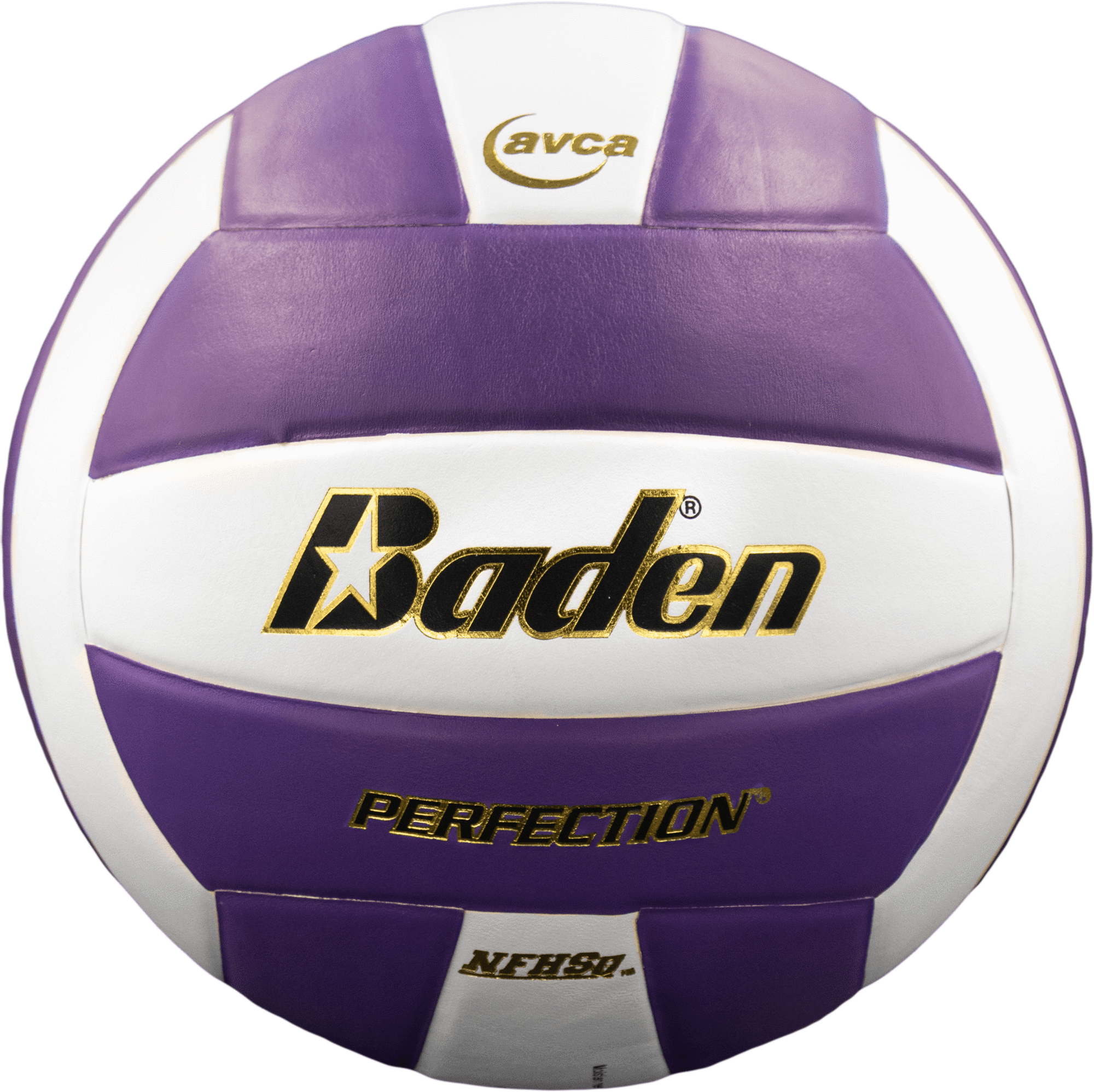 Perfection Leather Volleyball