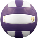 Perfection Leather Volleyball