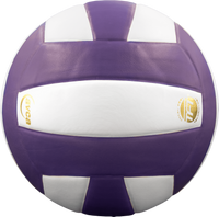 Perfection Leather Volleyball