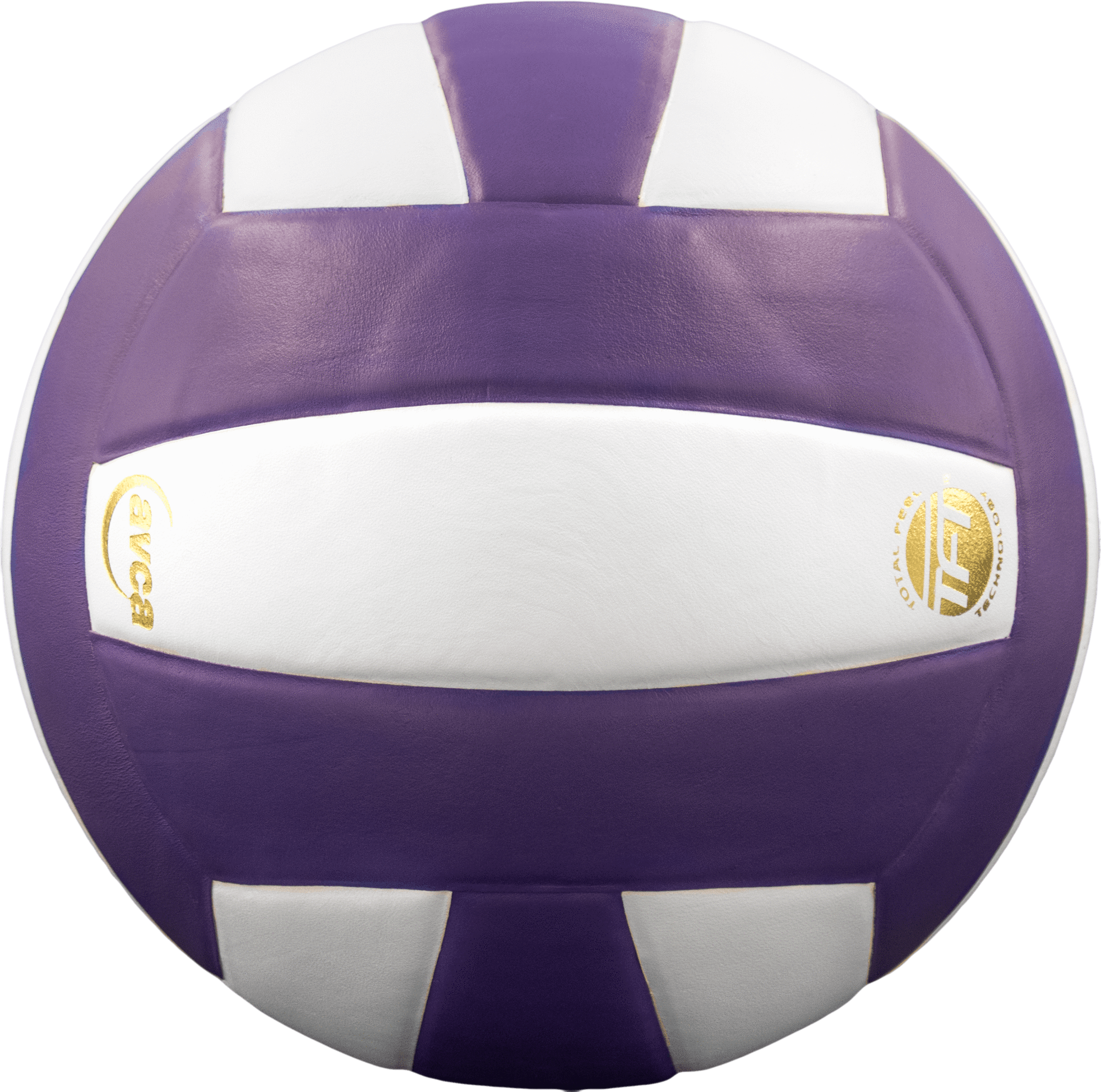 Perfection Leather Volleyball