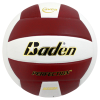 Perfection Leather Volleyball