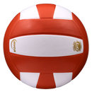 Perfection Leather Volleyball