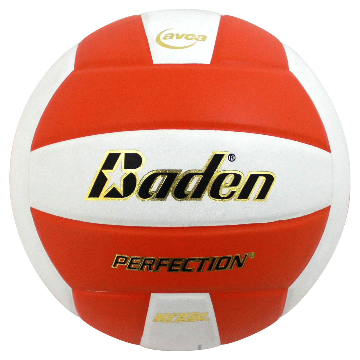 Perfection Leather Volleyball