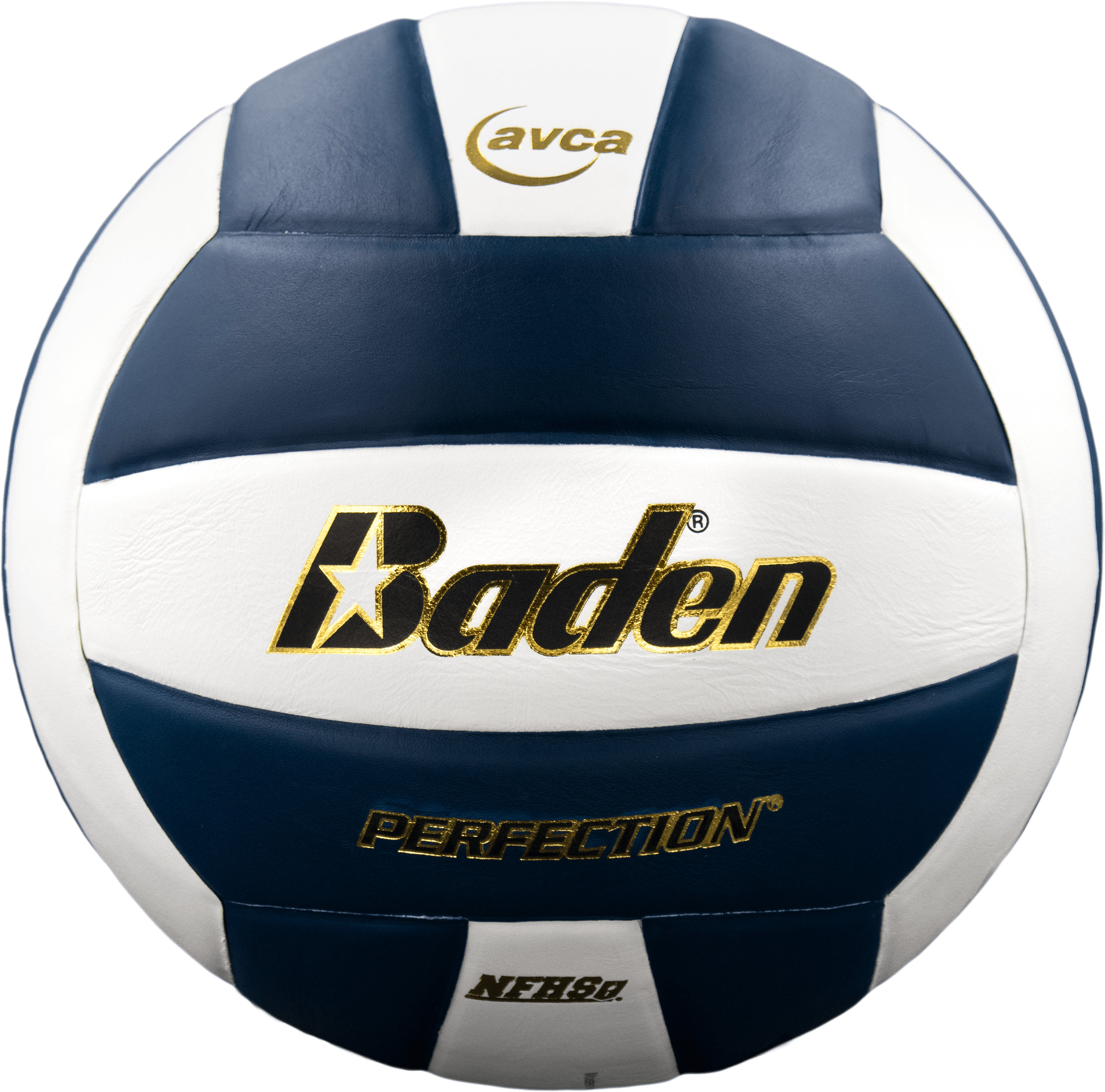 Perfection Leather Volleyball