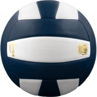 Perfection Leather Volleyball