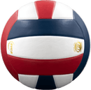 Perfection Leather Volleyball