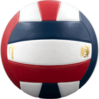 Perfection Leather Volleyball