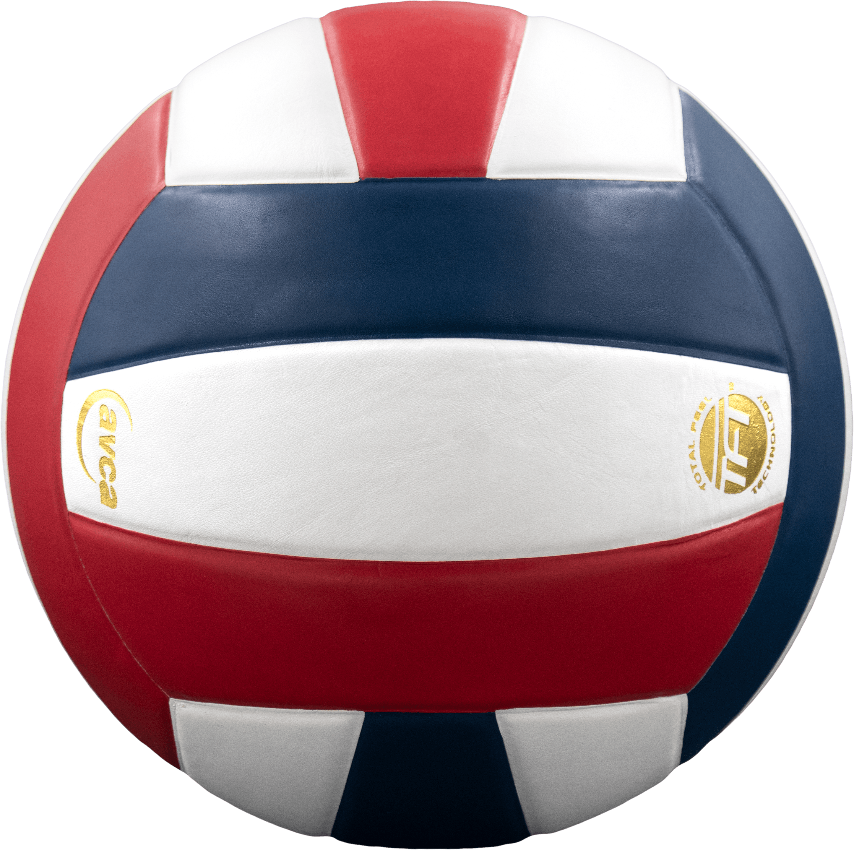 Perfection Leather Volleyball