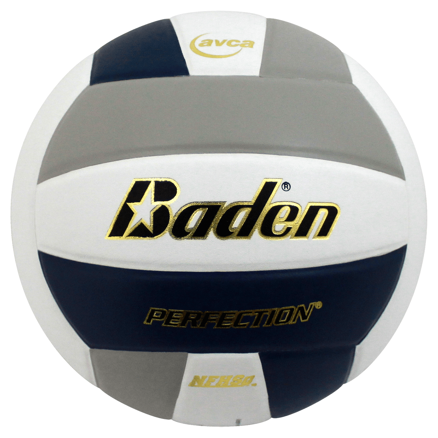 Perfection Leather Volleyball