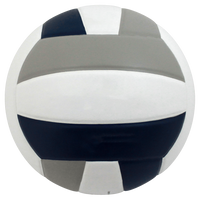 Perfection Leather Volleyball