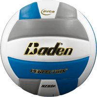 Perfection Leather Volleyball