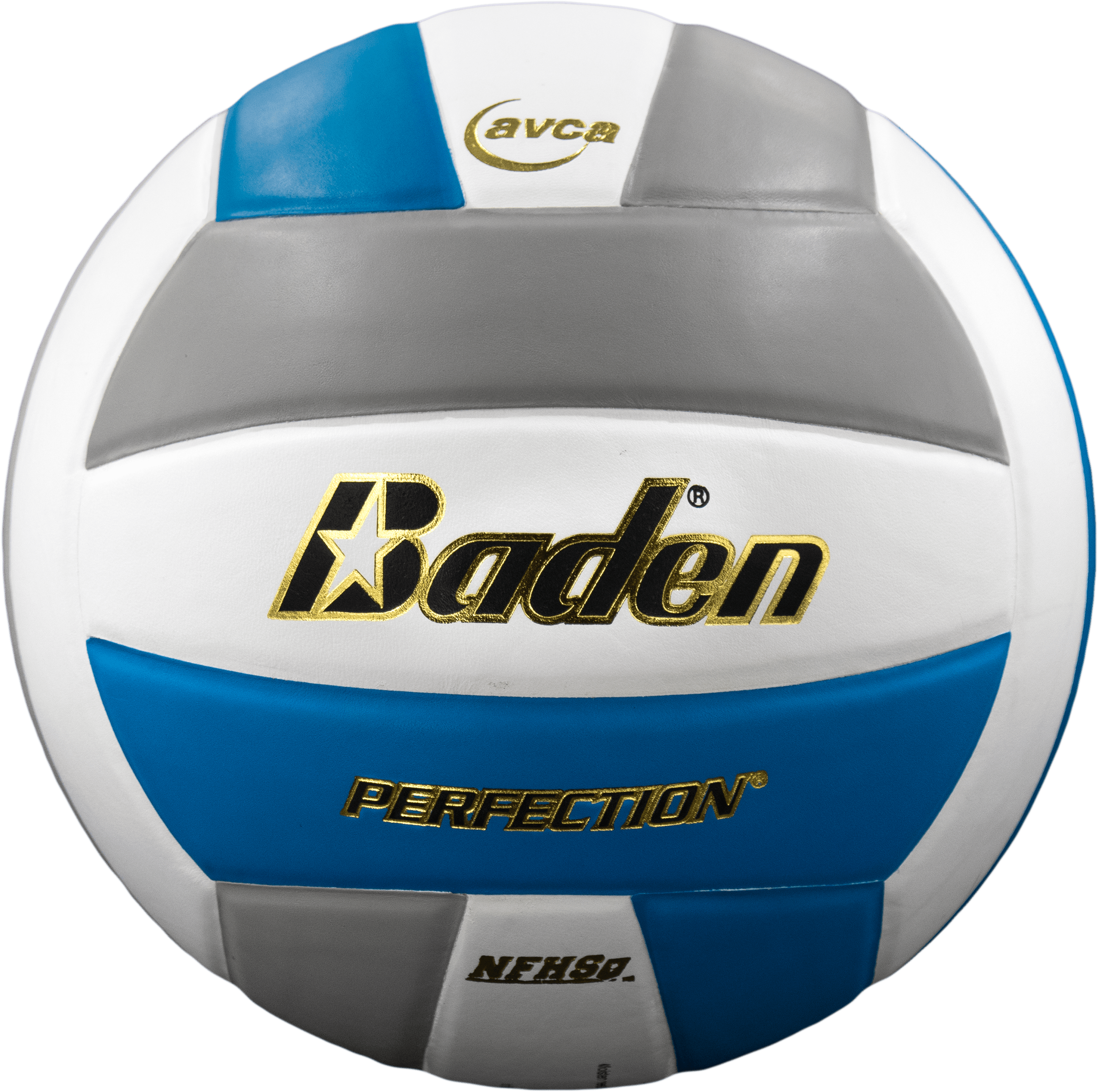 Perfection Leather Volleyball