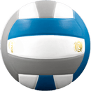 Perfection Leather Volleyball