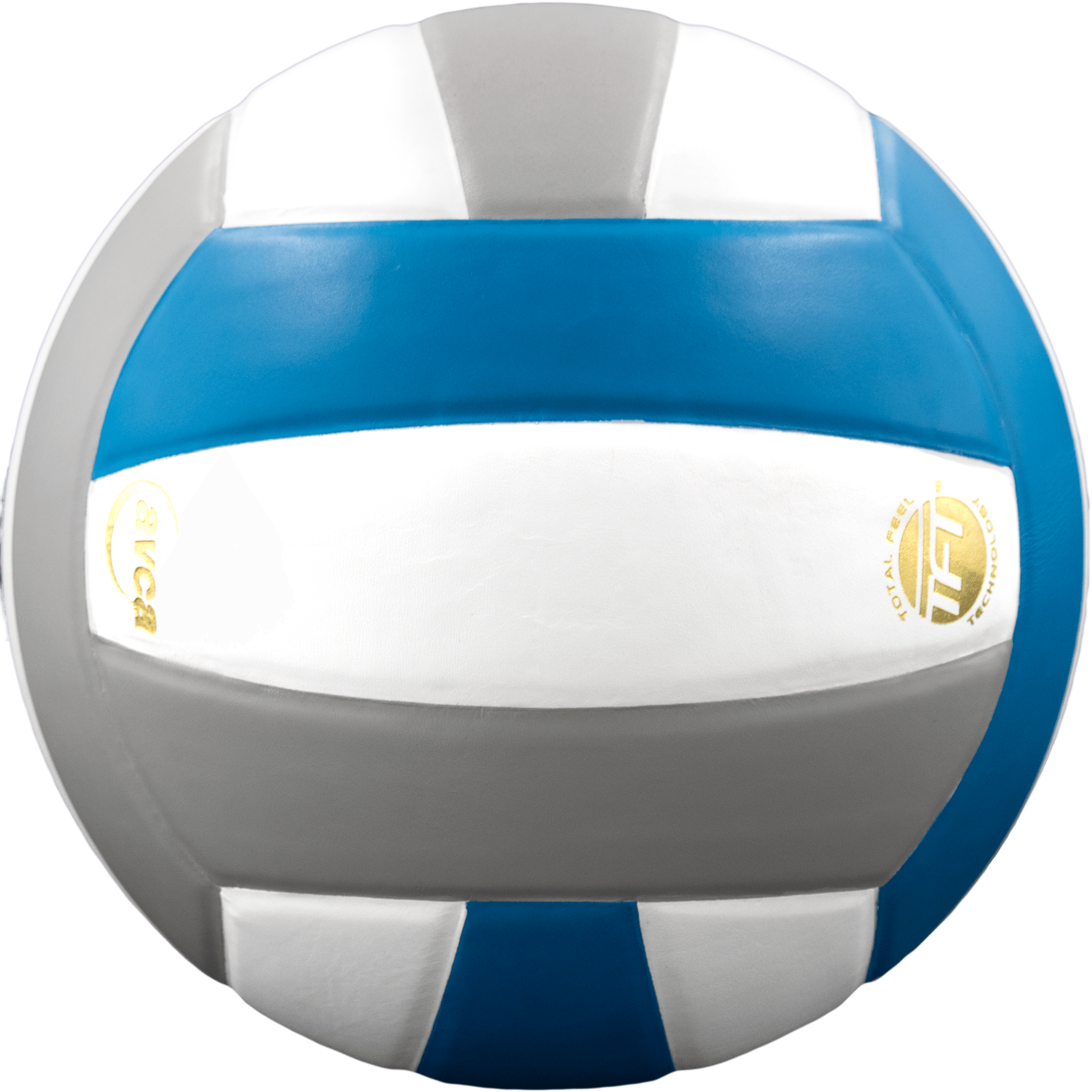 Perfection Leather Volleyball