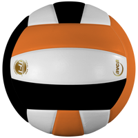 Perfection Leather Volleyball